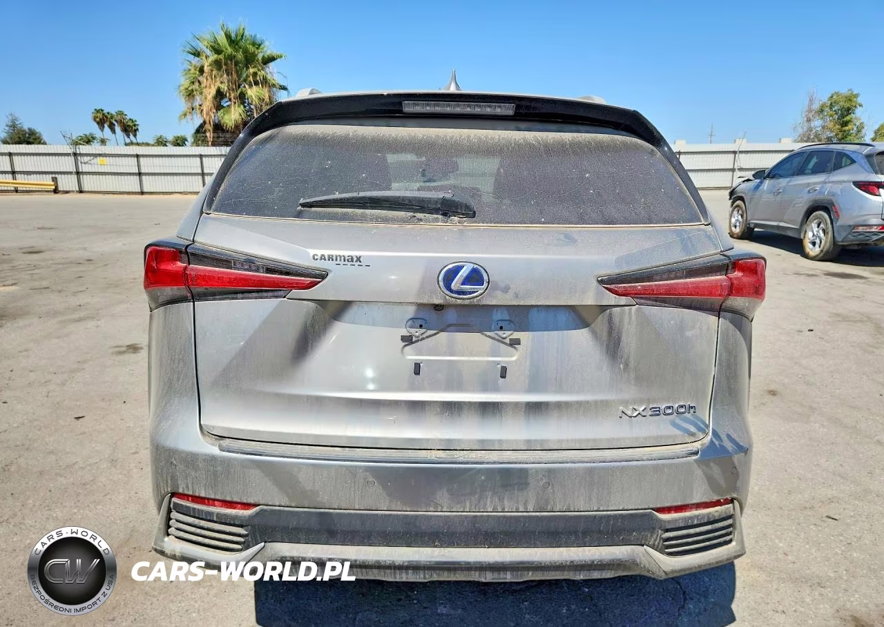 2019 Lexus Nx 300H VIN:JTJBJRBZ4K2120443 - 6