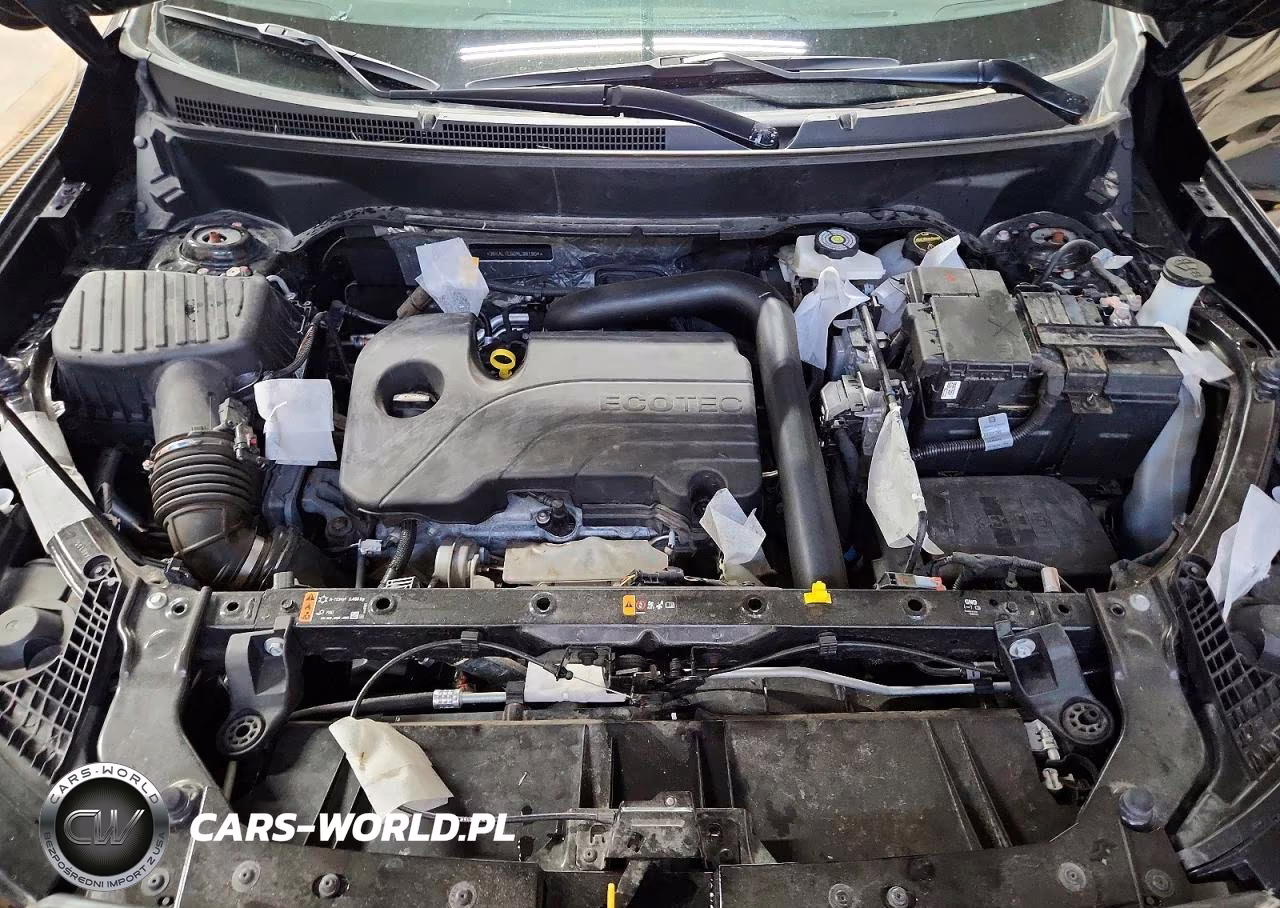 2024 GMC Terrain At4 VIN:3GKALYEG0RL381904 - 12