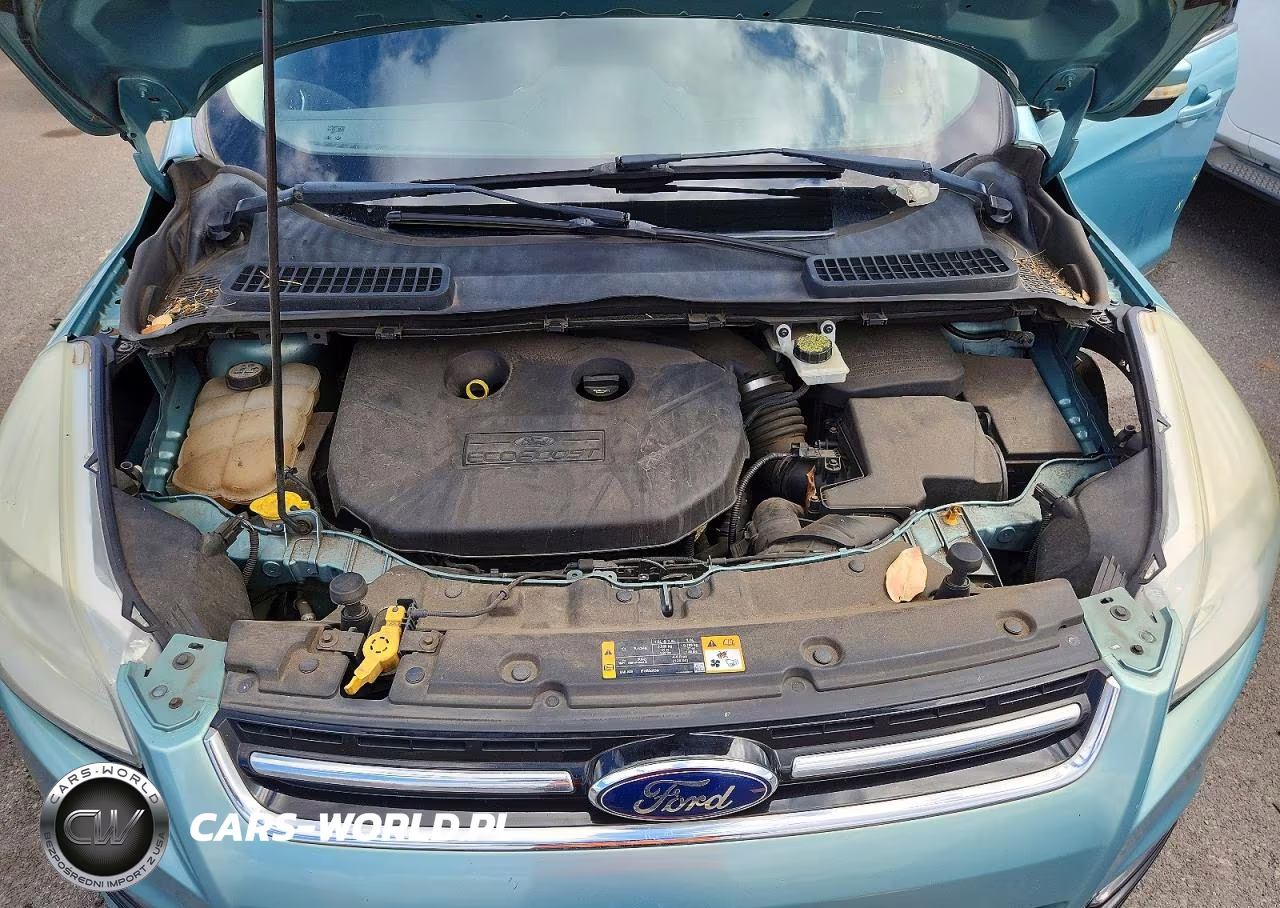 2013 Ford Escape Sel VIN:1FMCU0H95DUC46850 - 12
