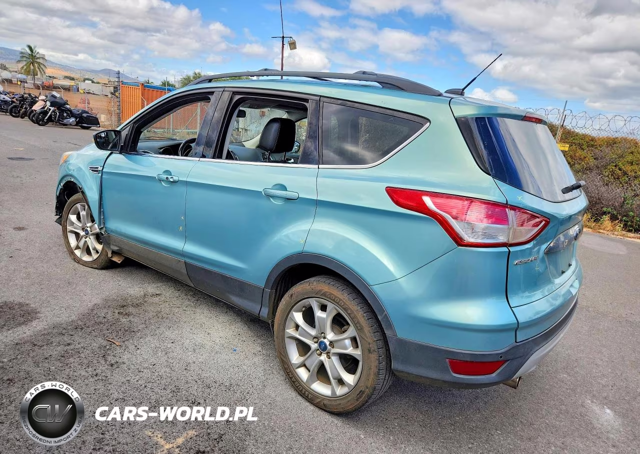 2013 Ford Escape Sel VIN:1FMCU0H95DUC46850 - 2