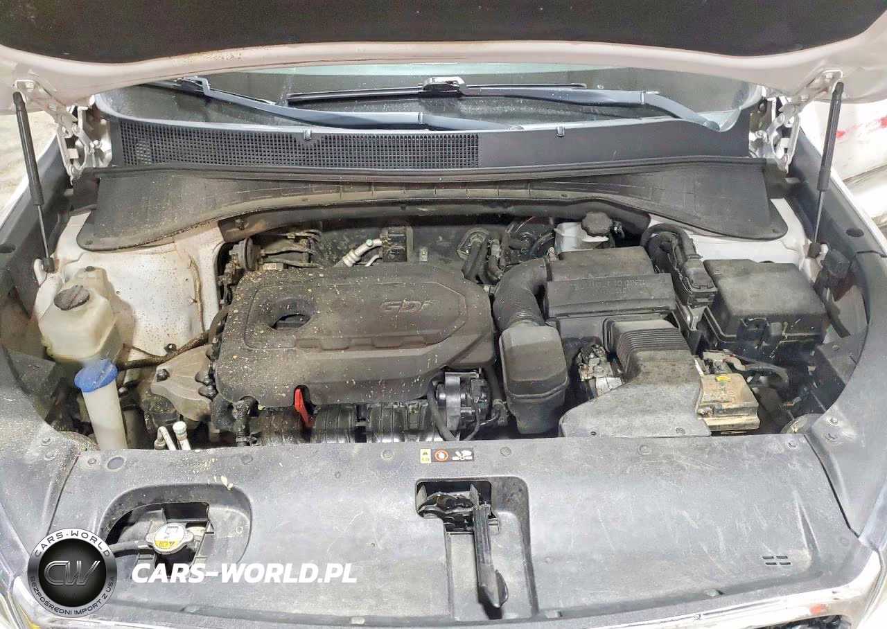 2017 Kia Sorento Lx VIN:5XYPGDA39HG259196 - 12