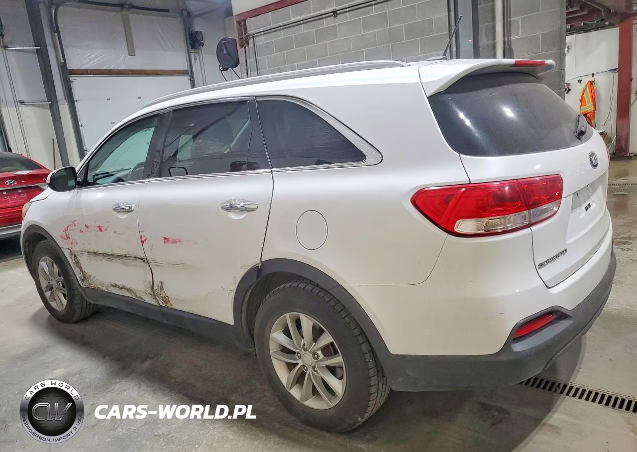 2017 Kia Sorento Lx VIN:5XYPGDA39HG259196 - 2