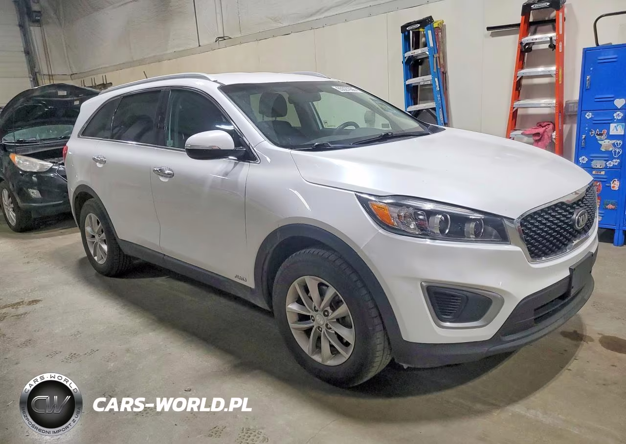 2017 Kia Sorento Lx VIN:5XYPGDA39HG259196 - 4