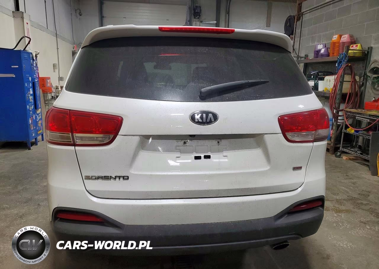 2017 Kia Sorento Lx VIN:5XYPGDA39HG259196 - 6