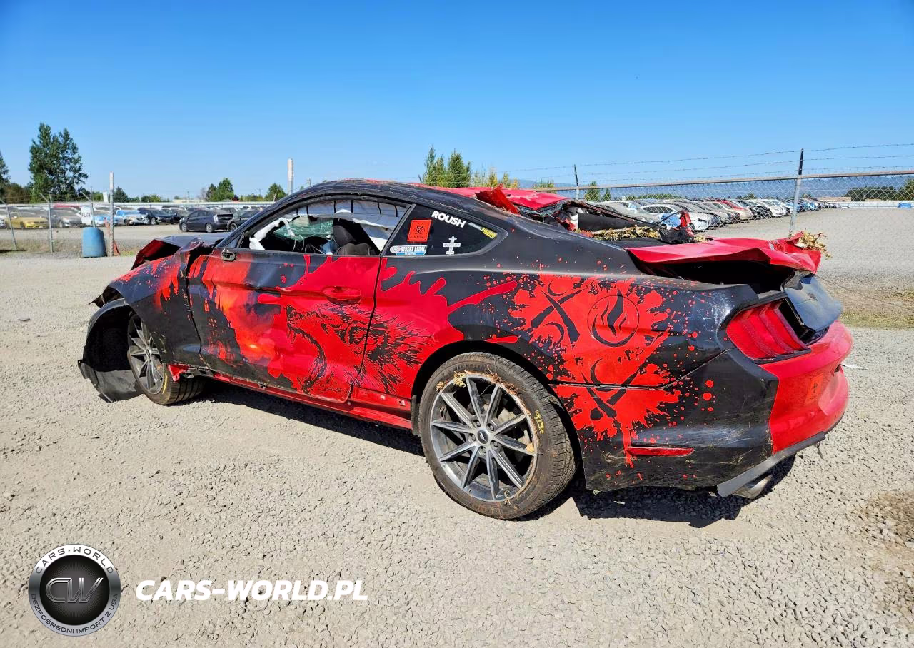 2019 Ford Mustang VIN:1FA6P8TH9K5104942 - 2