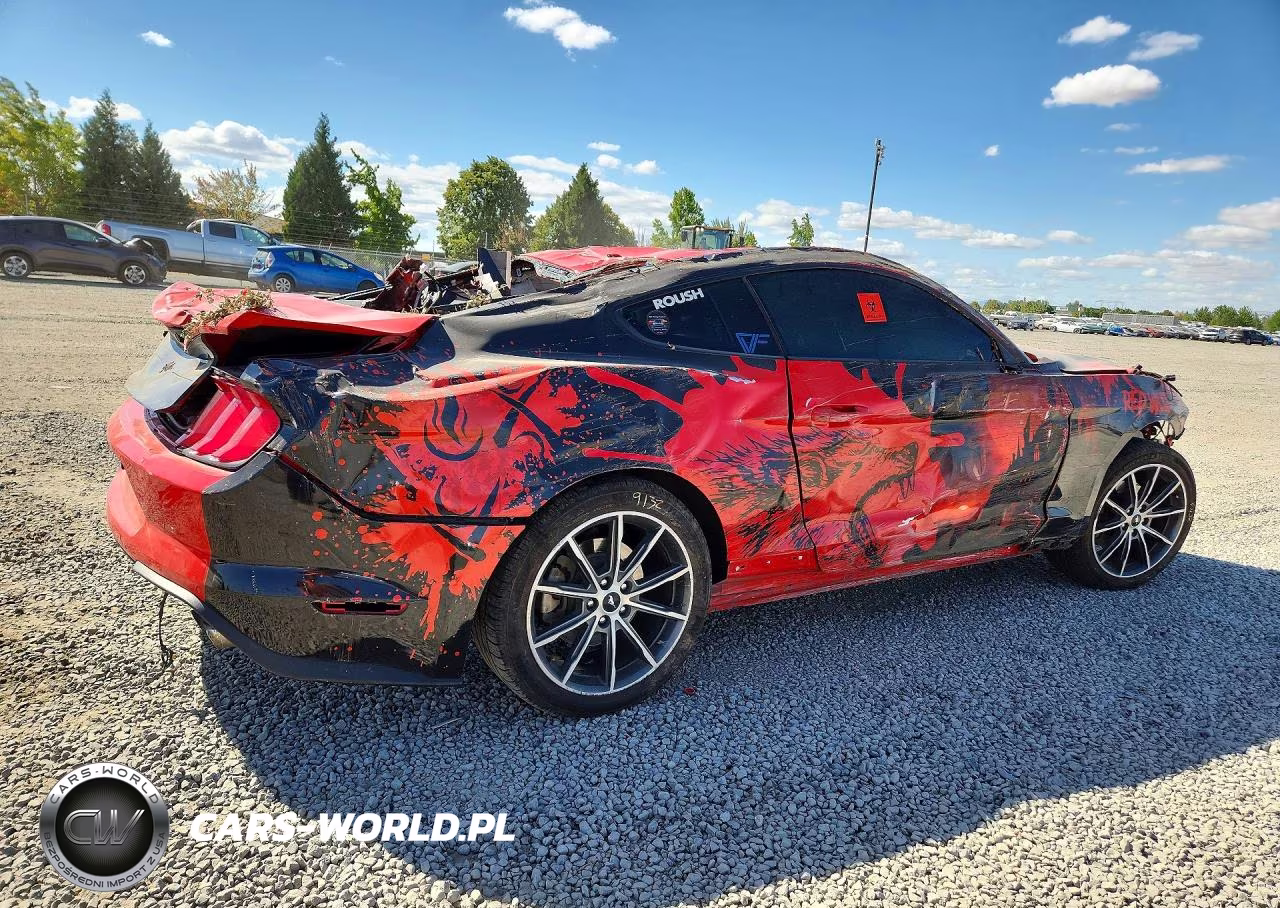 2019 Ford Mustang VIN:1FA6P8TH9K5104942 - 3