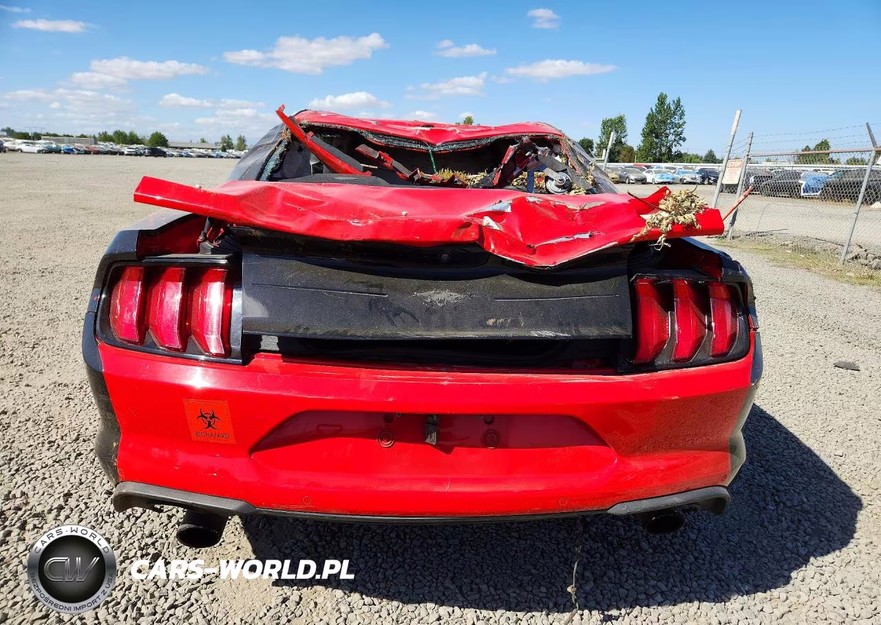 2019 Ford Mustang VIN:1FA6P8TH9K5104942 - 6