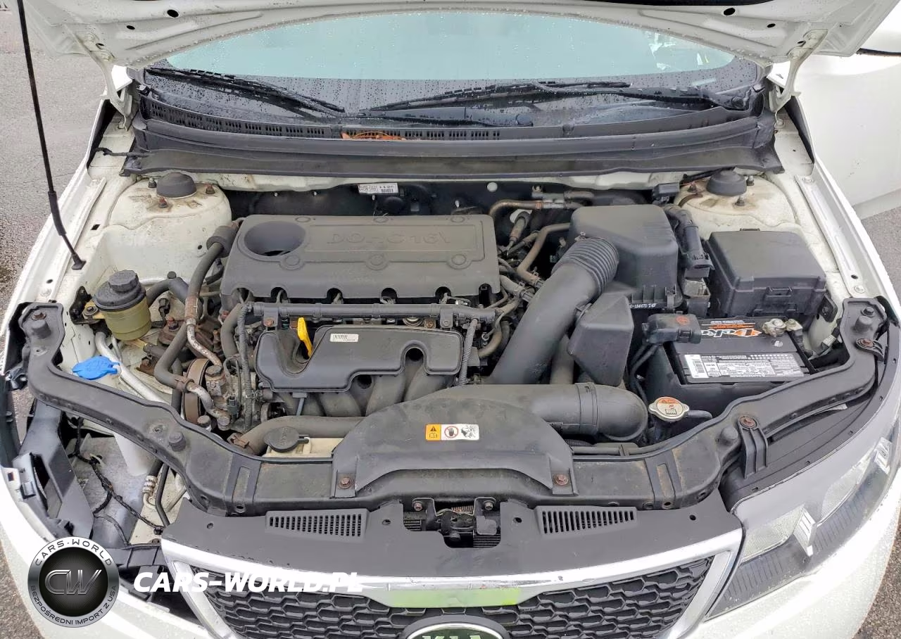 2013 Kia Forte Lx VIN:KNAFT4A27D5664410 - 11