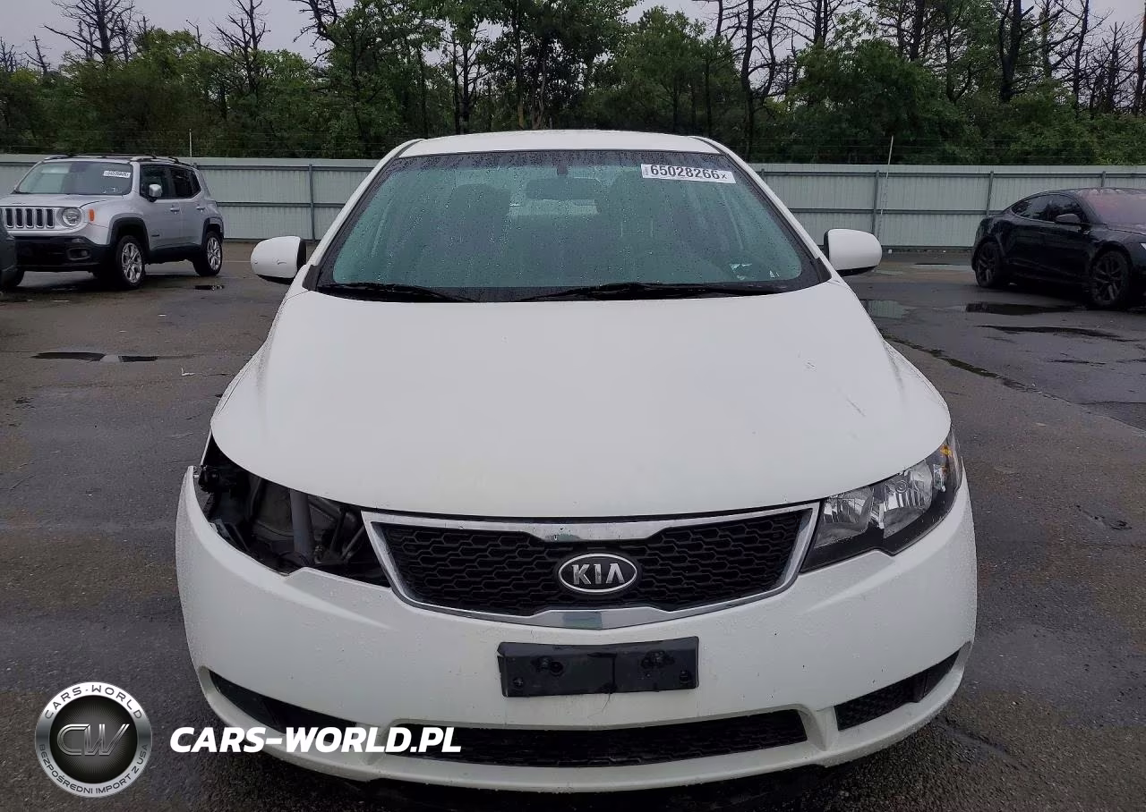 2013 Kia Forte Lx VIN:KNAFT4A27D5664410 - 5