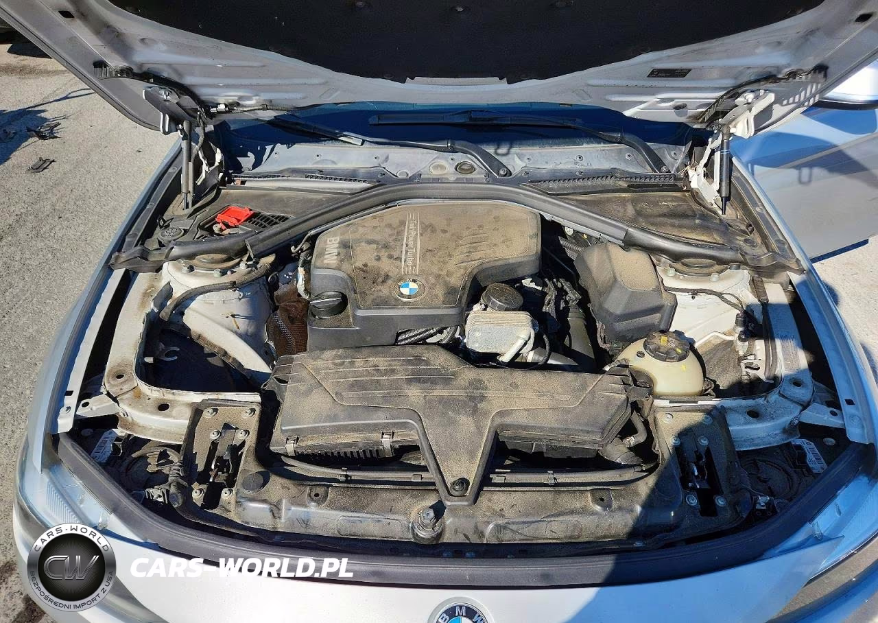 2016 BMW 320 Xi VIN:WBA8A3C55GK689344 - 11