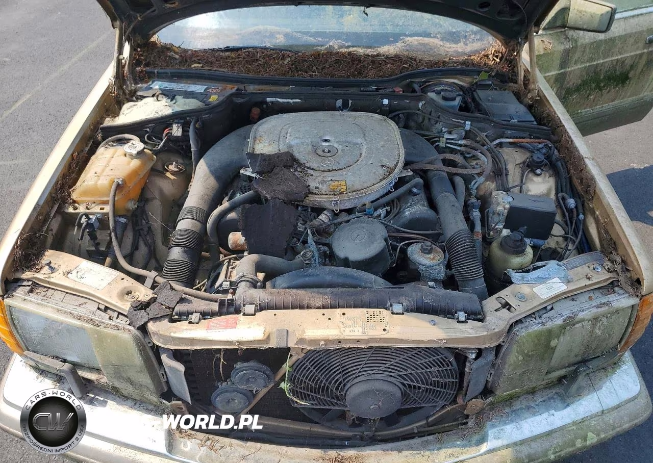 1986 Mercedes-Benz 560 Sel VIN:WDBCA39D5GA212428 - 11