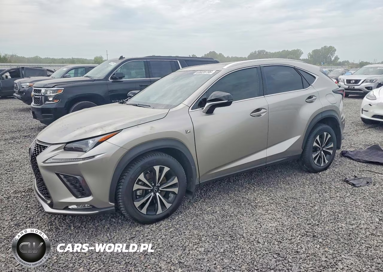 2019 Lexus Nx 300 F Sport