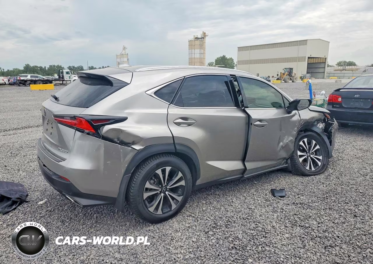 2019 Lexus Nx 300 F Sport VIN:JTJBARBZ3K2189270 - 3