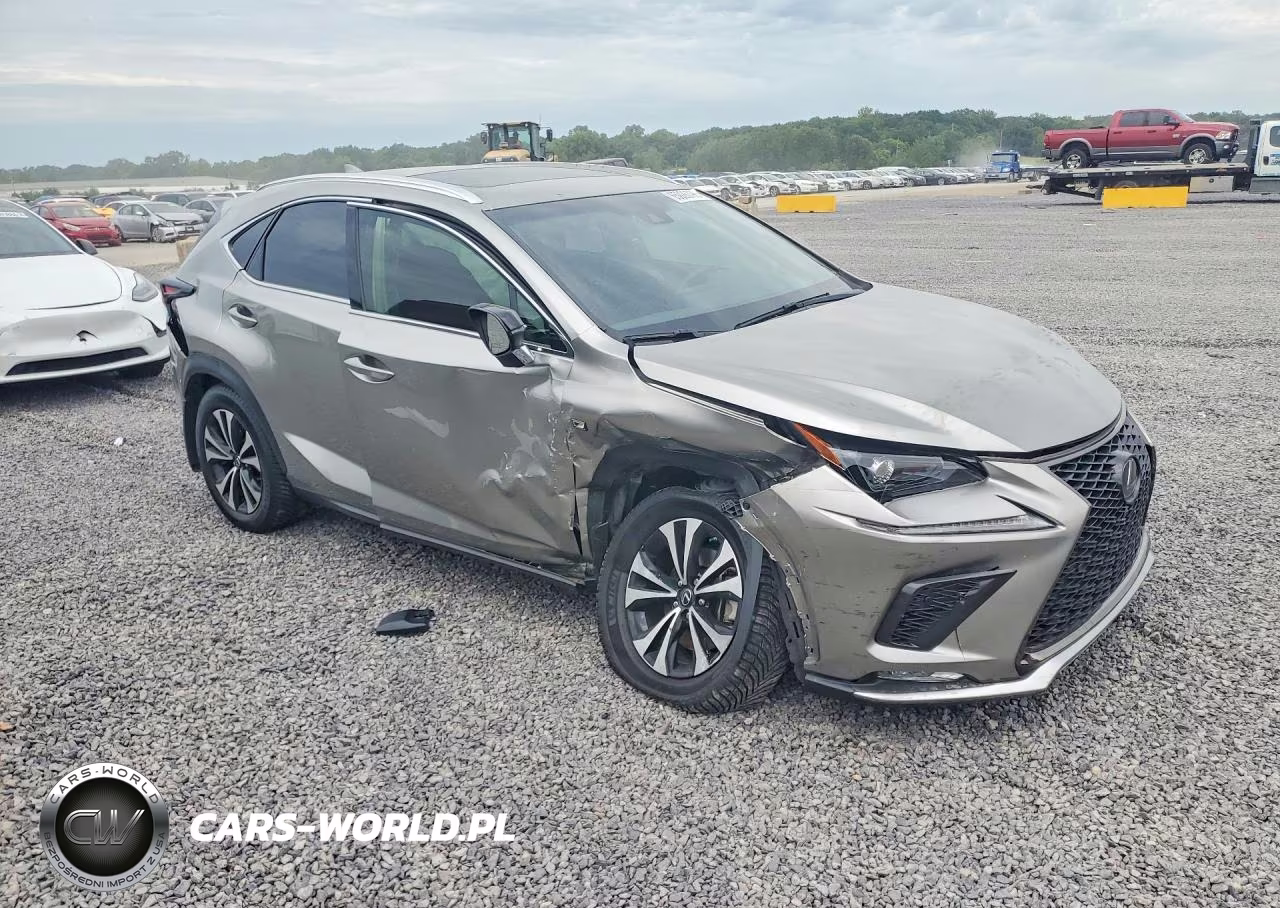 2019 Lexus Nx 300 F Sport VIN:JTJBARBZ3K2189270 - 4
