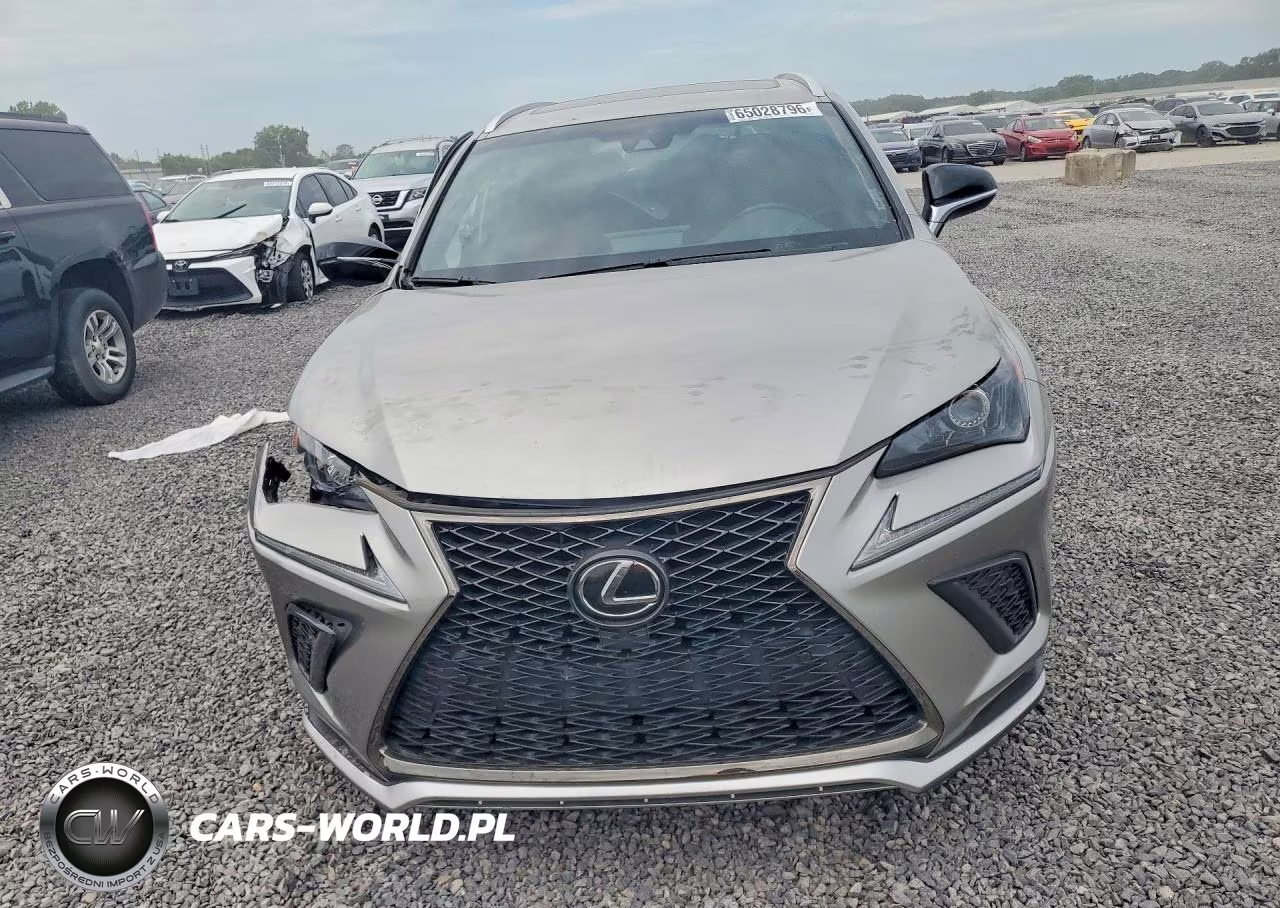 2019 Lexus Nx 300 F Sport VIN:JTJBARBZ3K2189270 - 5