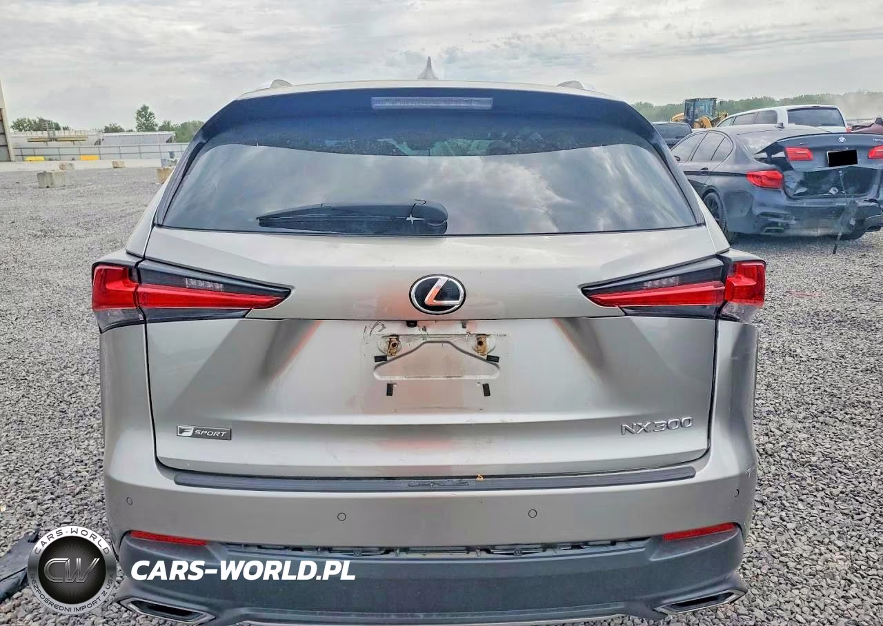 2019 Lexus Nx 300 F Sport VIN:JTJBARBZ3K2189270 - 6