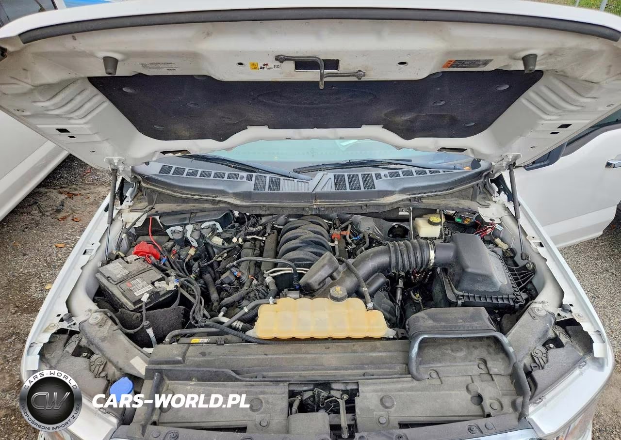 2021 Ford F150 Supercrew VIN:1FTFW1E57MKE34719 - 11