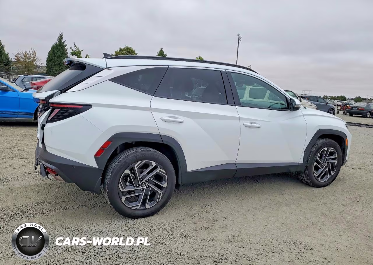 2025 Hyundai Tucson Limited VIN:KM8JEDD18SU386190 - 3