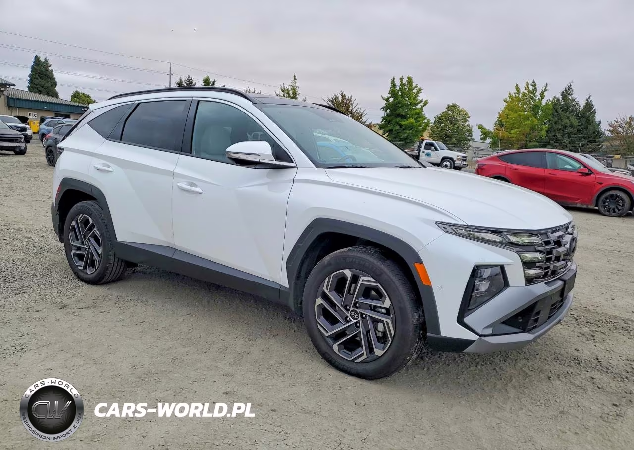 2025 Hyundai Tucson Limited VIN:KM8JEDD18SU386190 - 4
