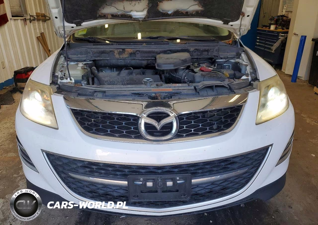 2010 Mazda Cx-9 VIN:JM3TB3MV0A0225185 - 12