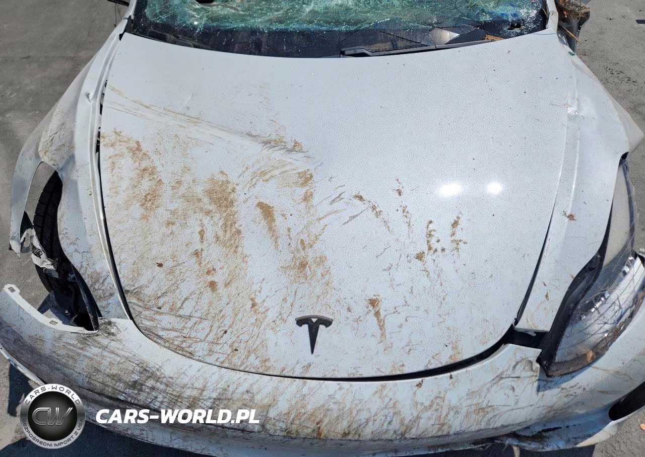 2021 Tesla Model 3 VIN:5YJ3E1EB3MF980622 - 11