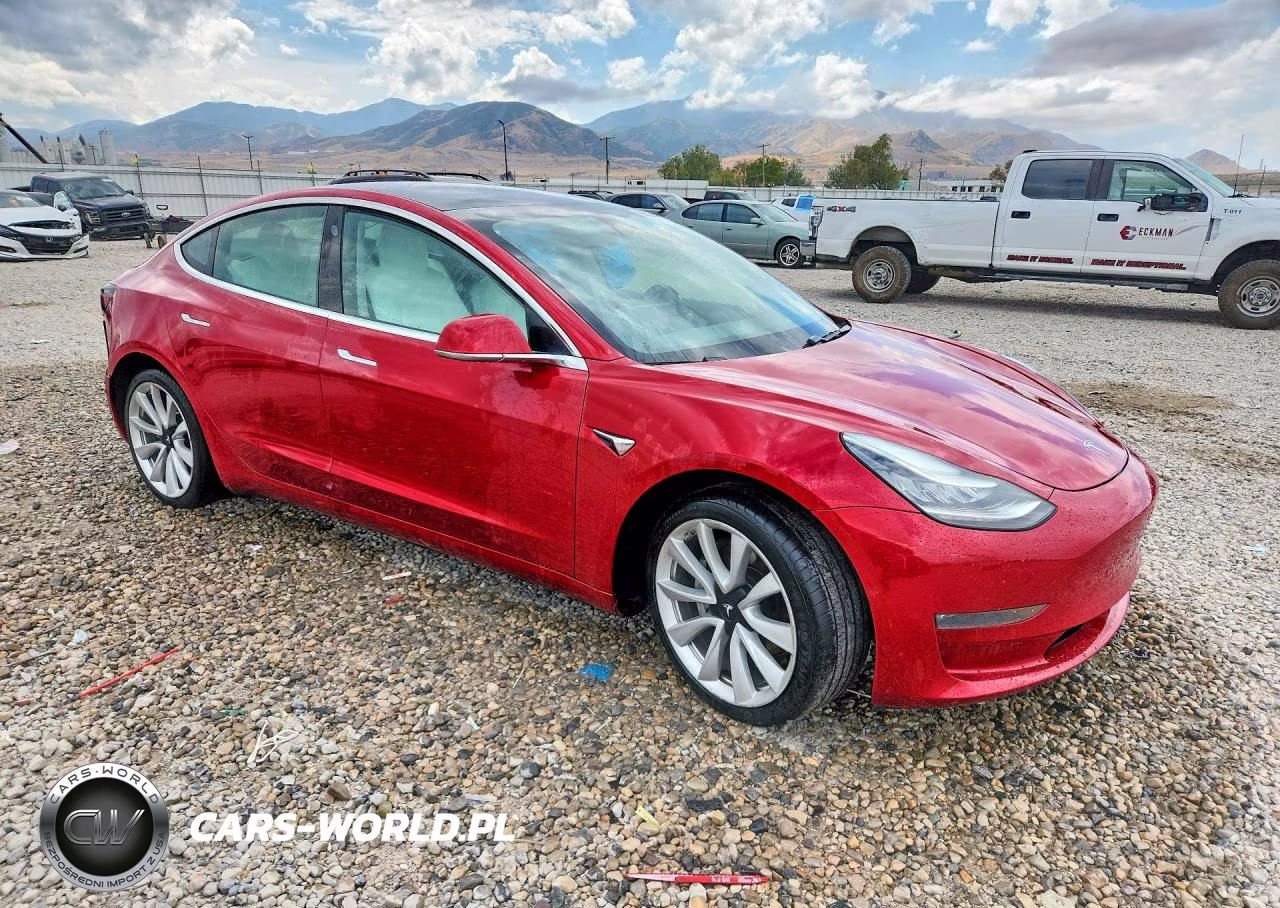 2019 Tesla Model 3 VIN:5YJ3E1EB7KF391831 - 4
