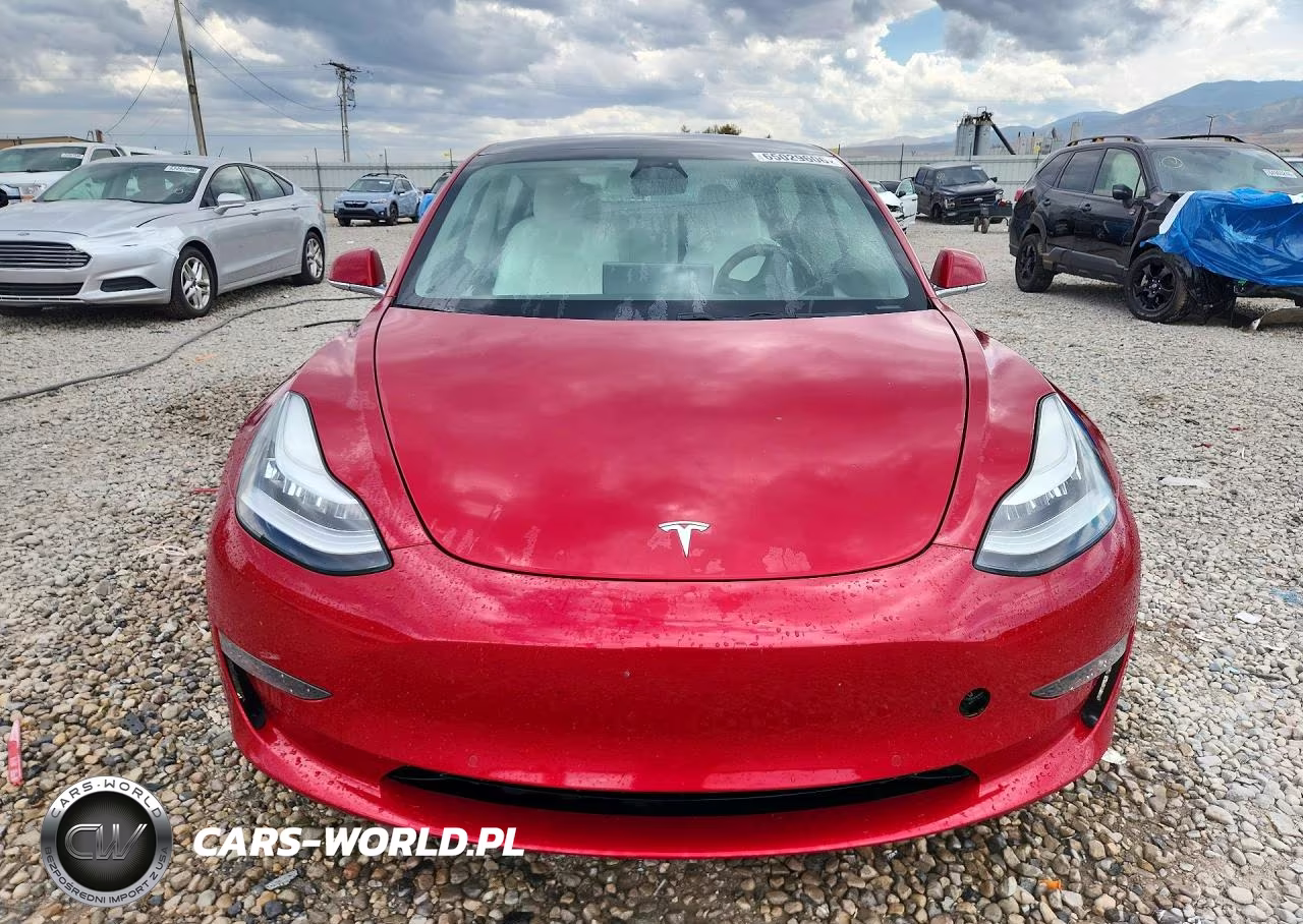 2019 Tesla Model 3 VIN:5YJ3E1EB7KF391831 - 5