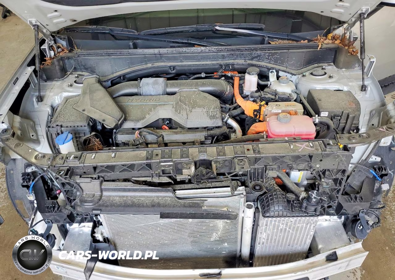 2024 Hyundai Santa Fe Hybrid Sel VIN:5NMP2DG18RH003692 - 12