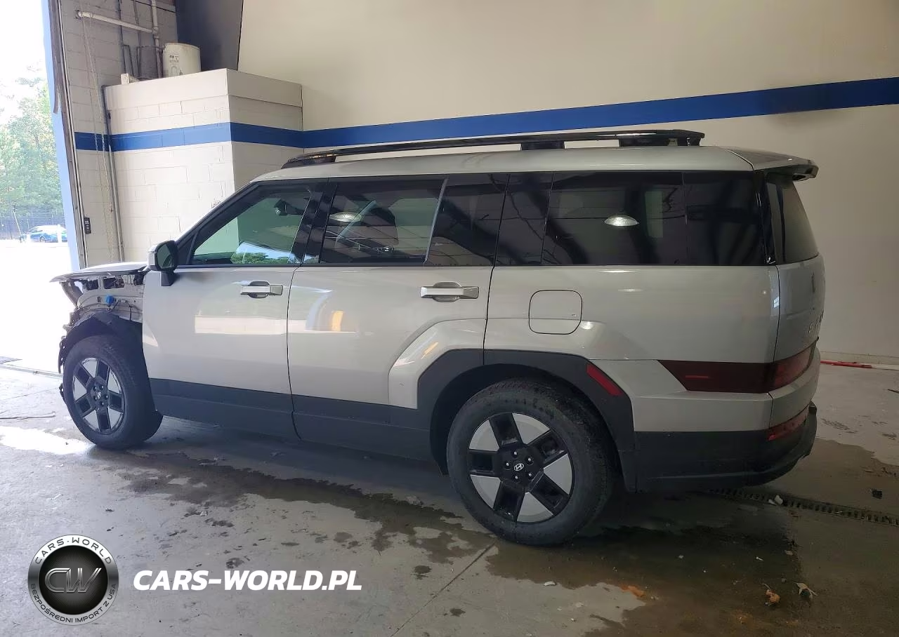 2024 Hyundai Santa Fe Hybrid Sel VIN:5NMP2DG18RH003692 - 2