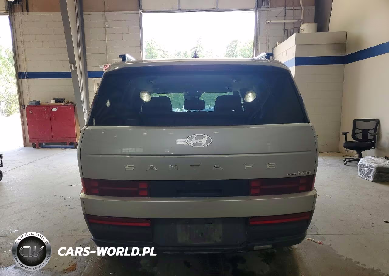 2024 Hyundai Santa Fe Hybrid Sel VIN:5NMP2DG18RH003692 - 6
