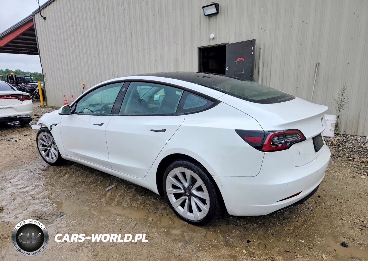 2022 Tesla Model 3 VIN:5YJ3E1EB5NF289738 - 2