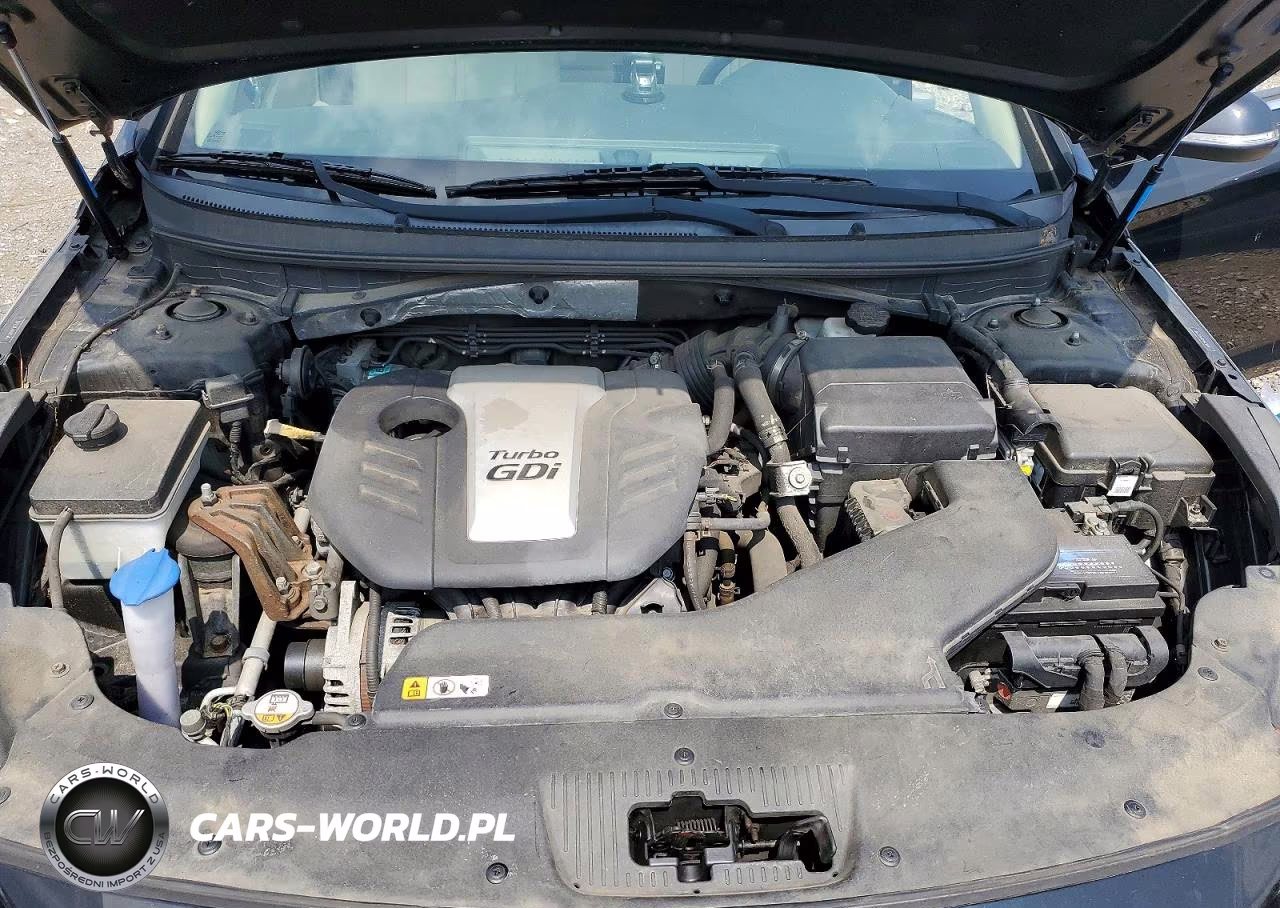 2015 Hyundai Sonata VIN:5NPE24AA8FH112443 - 11