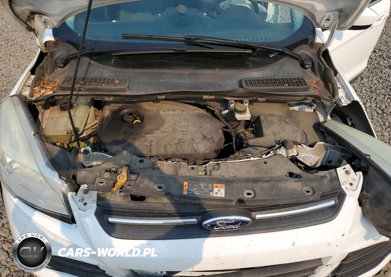 2014 Ford Escape Se VIN:1FMCU9GX1EUE41592 - 12