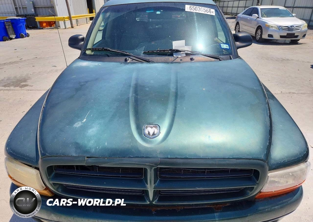 1999 Dodge Durango VIN:1B4HR28Y7XF622856 - 11