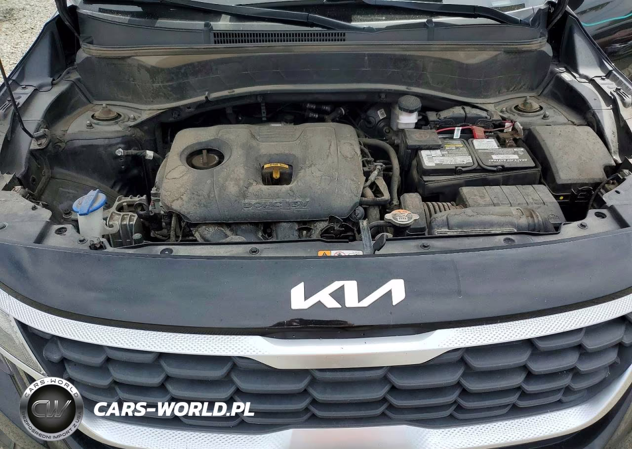 2022 Kia Seltos Lx VIN:KNDEPCAA9N7249860 - 12