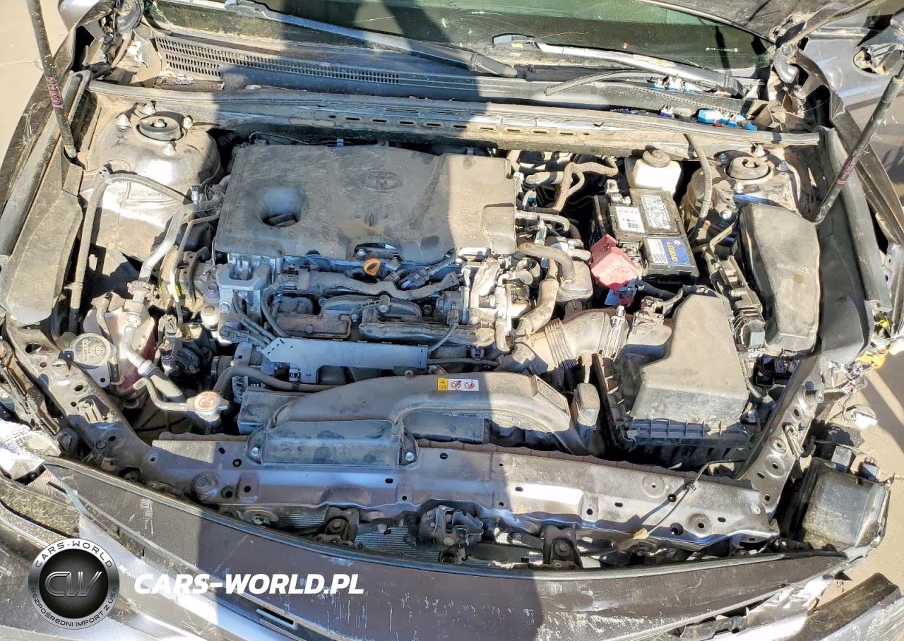 2019 Toyota Camry Le VIN:4T1B11HK2KU699625 - 11