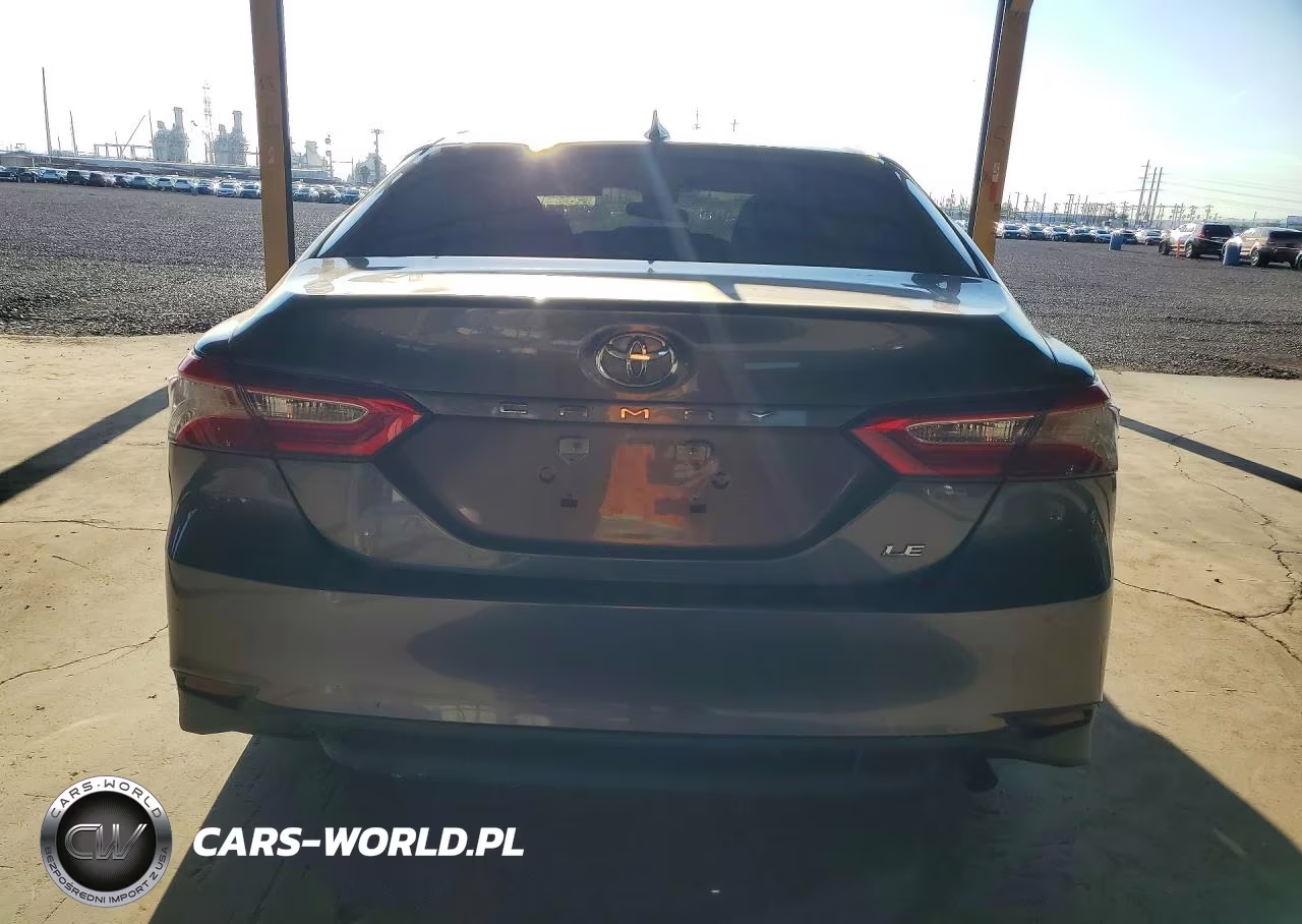 2019 Toyota Camry Le VIN:4T1B11HK2KU699625 - 6