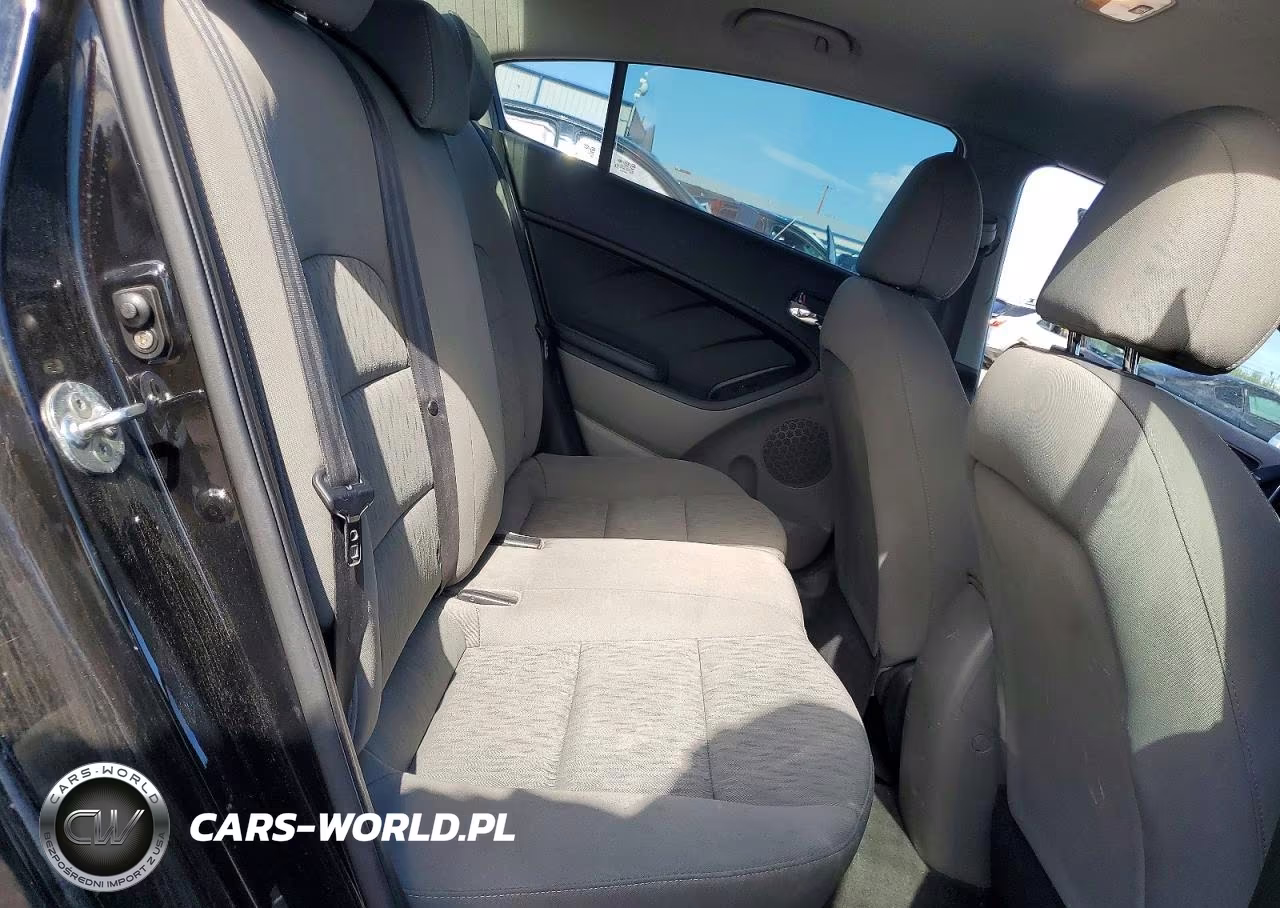 2015 Kia Forte Lx VIN:KNAFK4A64F5387708 - 10
