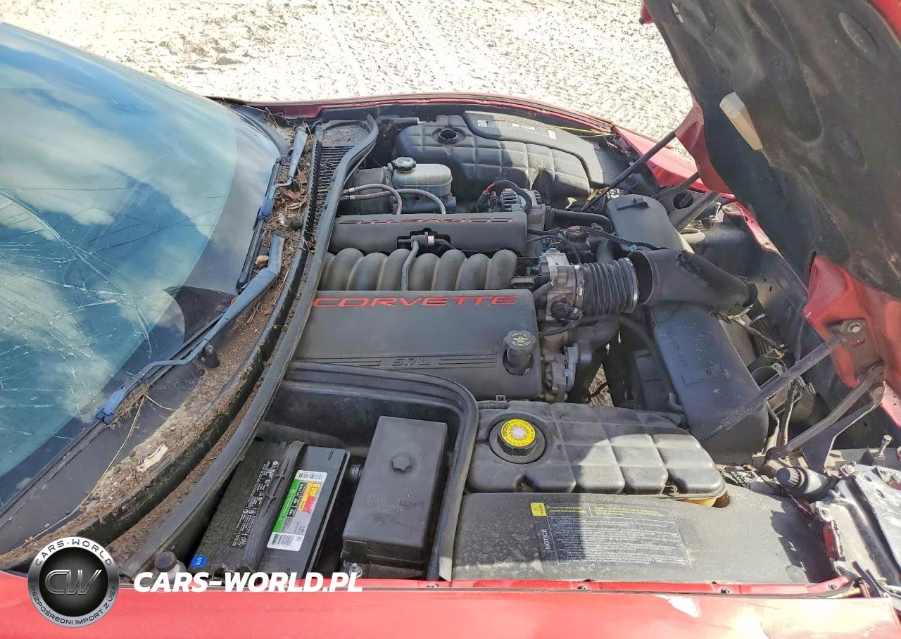 1998 Chevrolet Corvette VIN:1G1YY22G6W5115305 - 11