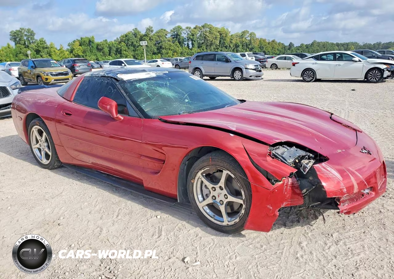 1998 Chevrolet Corvette VIN:1G1YY22G6W5115305 - 4