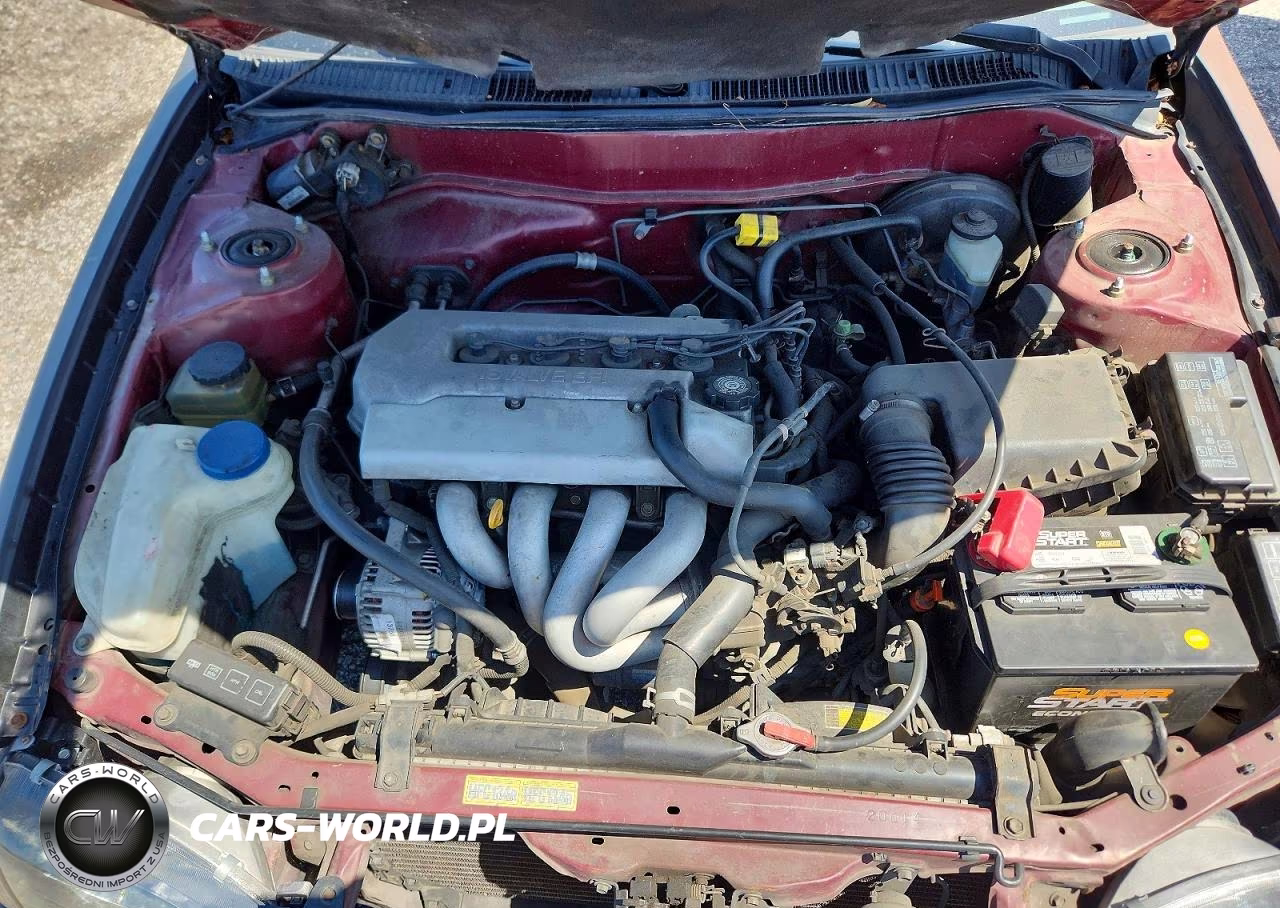 1999 Toyota Corolla Ve VIN:1NXBR12E7XZ154104 - 11