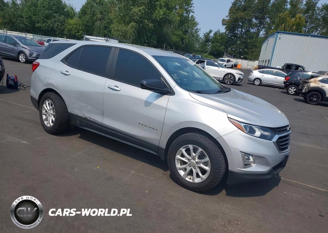 2020 Chevrolet Equinox Ls VIN:2GNAXHEV2L6164906 - 4
