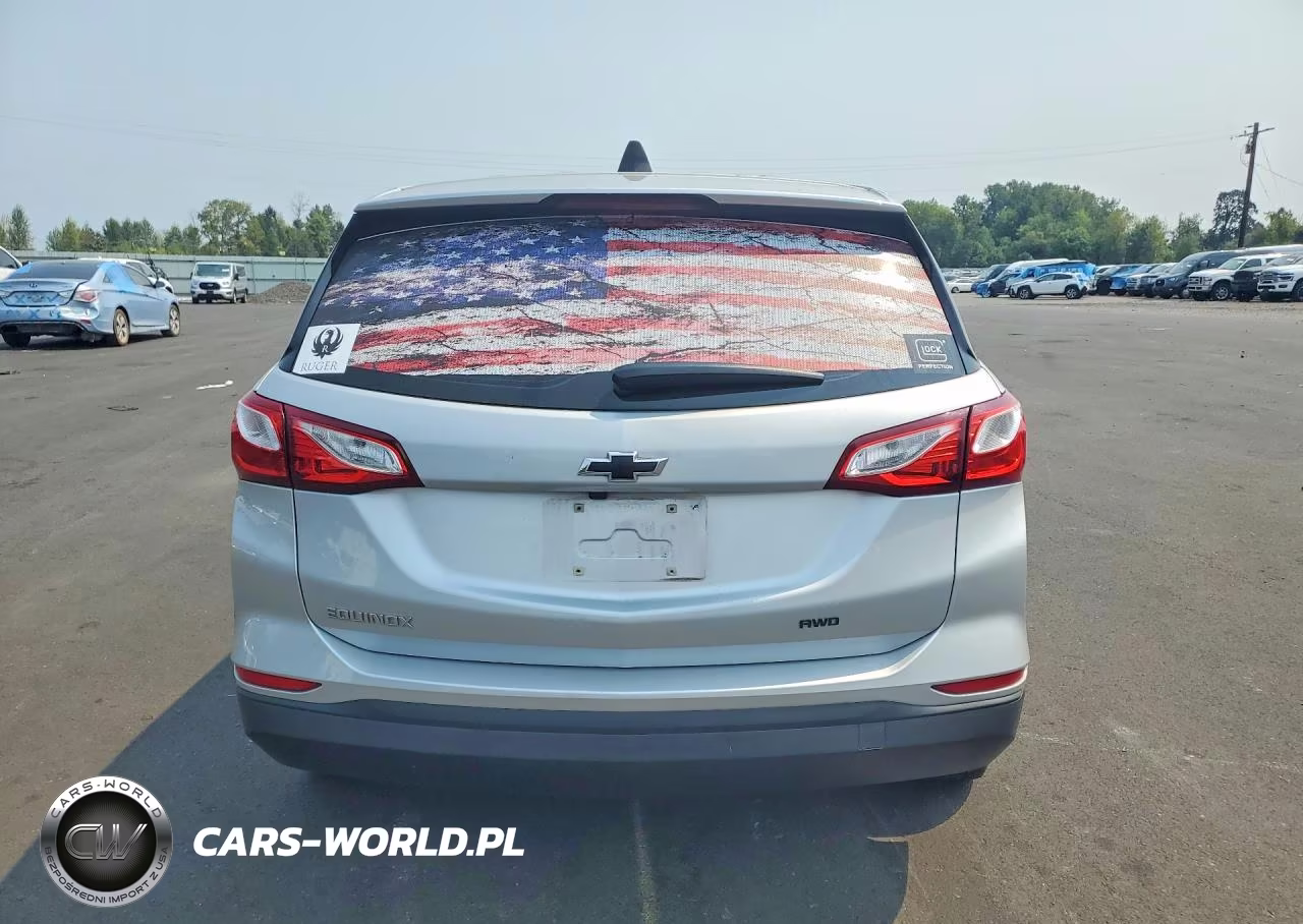 2020 Chevrolet Equinox Ls VIN:2GNAXHEV2L6164906 - 6