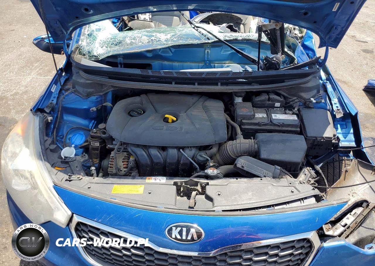 2015 Kia Forte Ex VIN:KNAFX4A87F5335704 - 11
