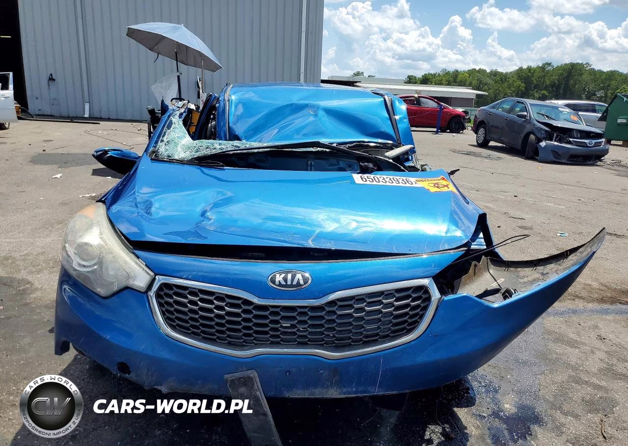 2015 Kia Forte Ex VIN:KNAFX4A87F5335704 - 5