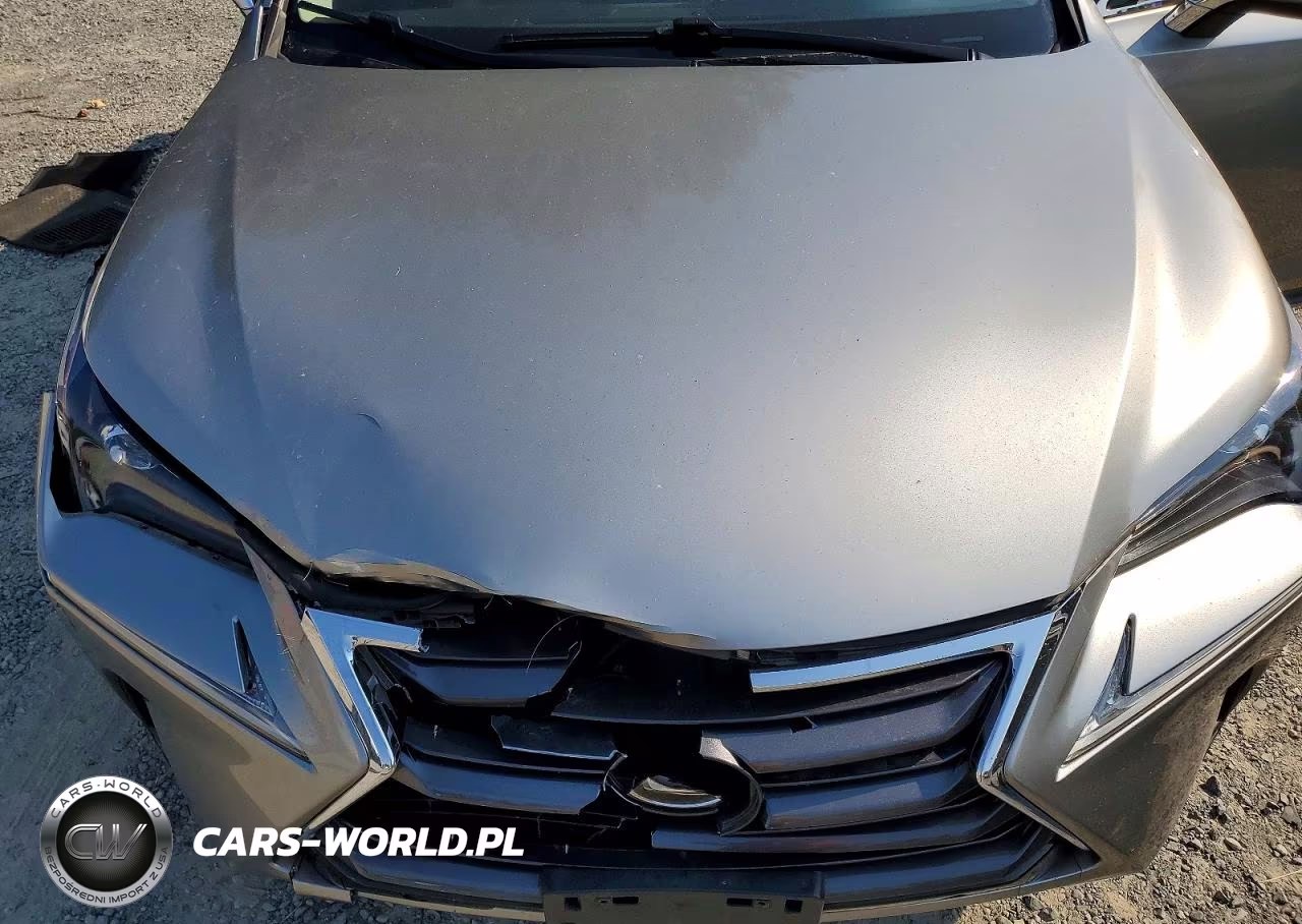 2017 Lexus Nx 200T Base VIN:JTJBARBZ1H2129495 - 12
