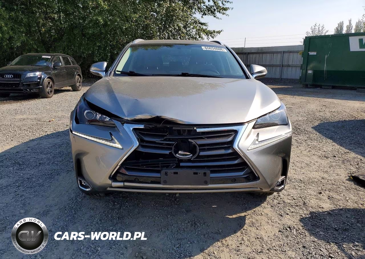 2017 Lexus Nx 200T Base VIN:JTJBARBZ1H2129495 - 5