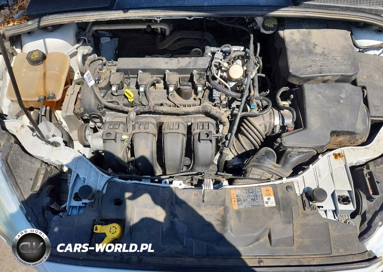 2016 Ford Focus Se VIN:1FADP3F20GL352890 - 11