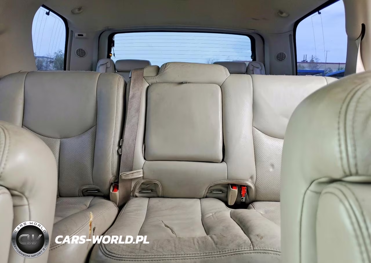 2003 Cadillac Escalade Luxury VIN:1GYEC63T33R309090 - 10