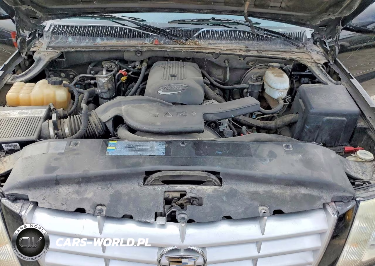 2003 Cadillac Escalade Luxury VIN:1GYEC63T33R309090 - 12